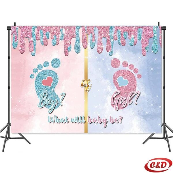 Party baner GENDER REVEAL