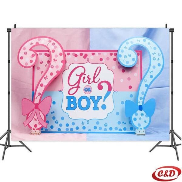 Party baner GENDER REVEAL