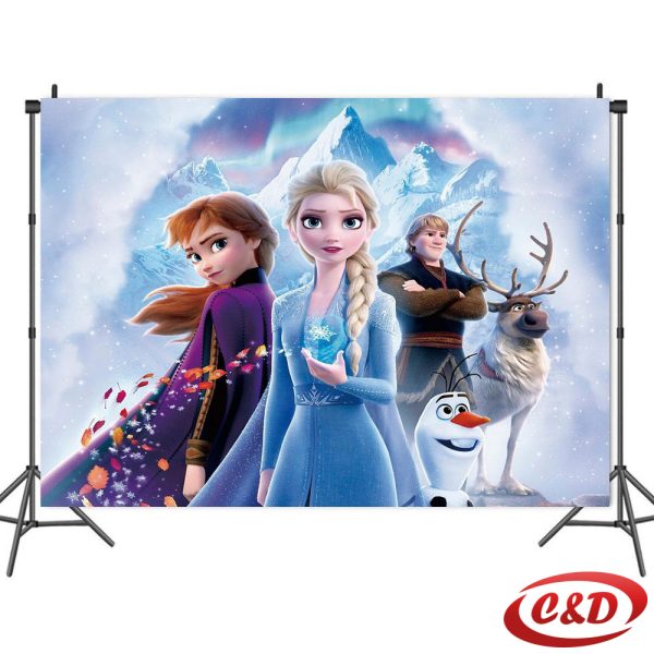 Party baner Frozen