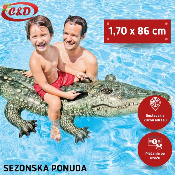 INTEX Krokodil 170 x 86 cm