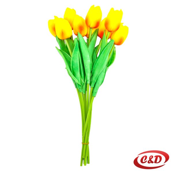 Tulipan 1 komad