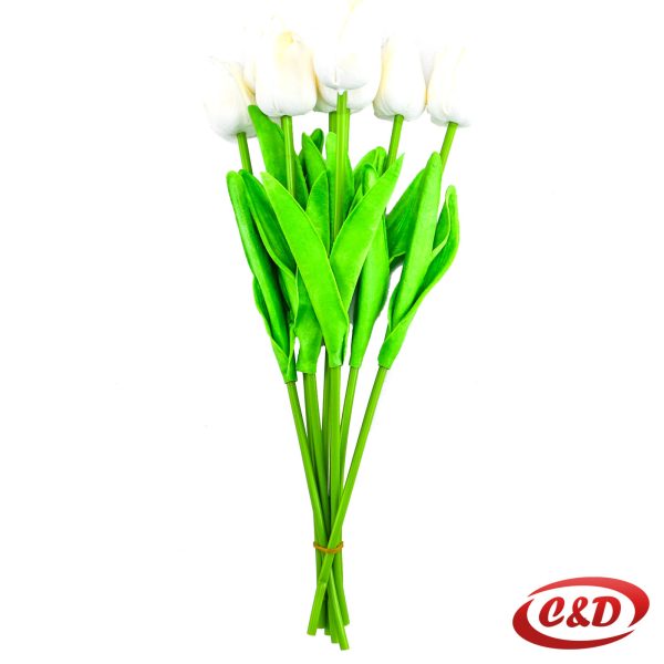 Tulipan 1 komad