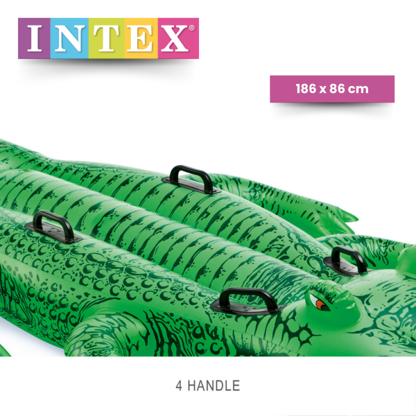 INTEX Krokodil; 168 x 86 cm - Slika 3